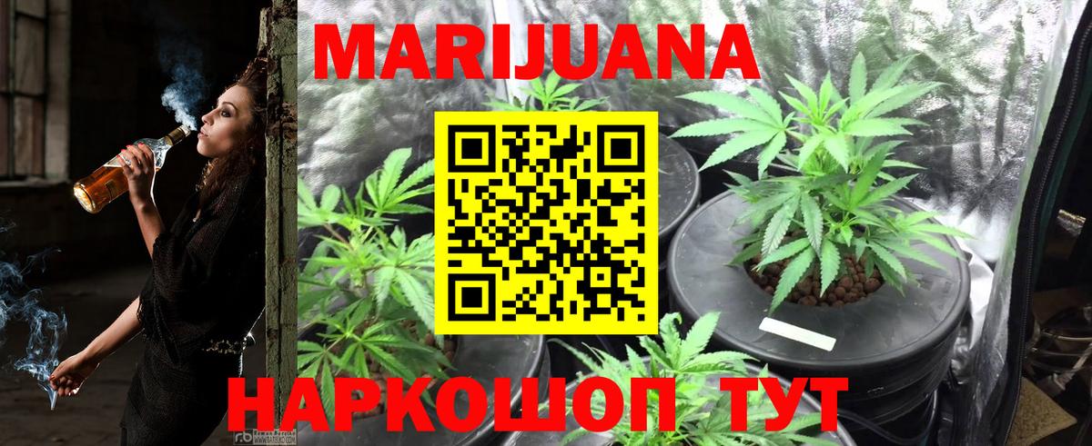 Шишки марихуана Bruce Banner  Каннабис план  Каменка  Конопля гибрид  МАРИХУАНА MAZAR  Вход с VPN 